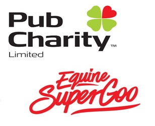 Sponsor